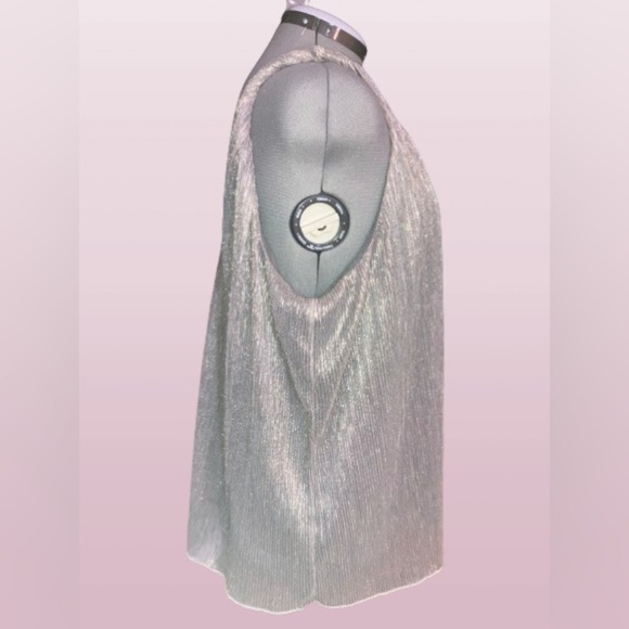 Rye Grass “silver shimmer” camisole, sz Lg(fits like an xl). - Picture 2 of 3